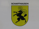 sguggiari.ch, FFS RABe 511 017 'Schaffhausen'