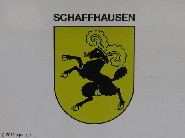 FFS RABe 511 017 'Schaffhausen'