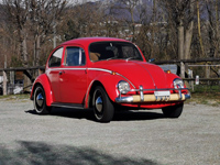 VW maggiolino